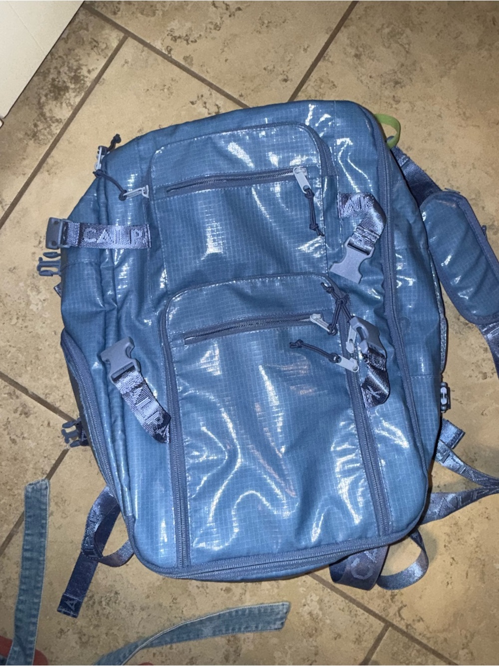 Blue Calpak Utility Backpack